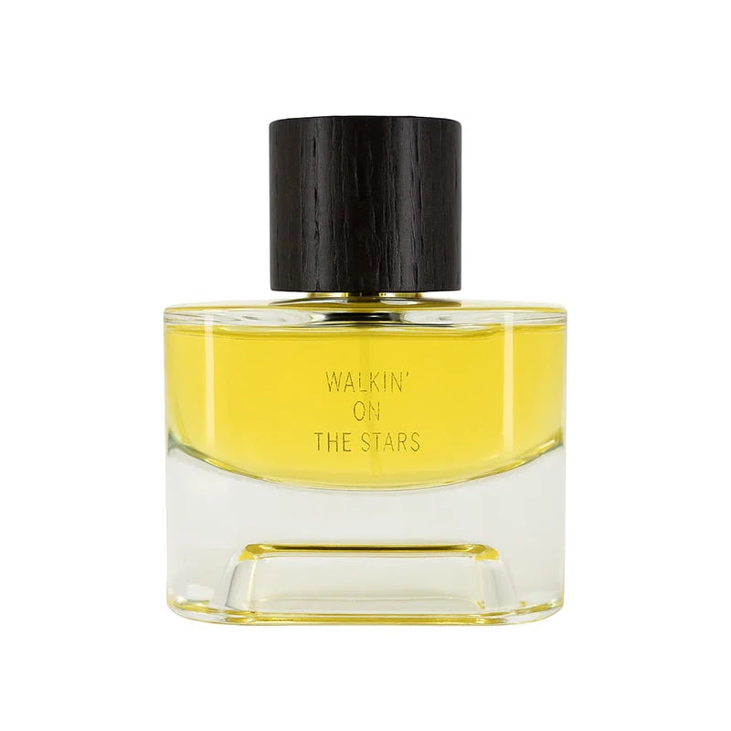 Laurent Smal Walkin ON The Stars Extract