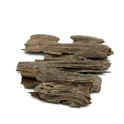 Cambodian Trat Double Oud Chips - 1 Ounce  (30 GM)