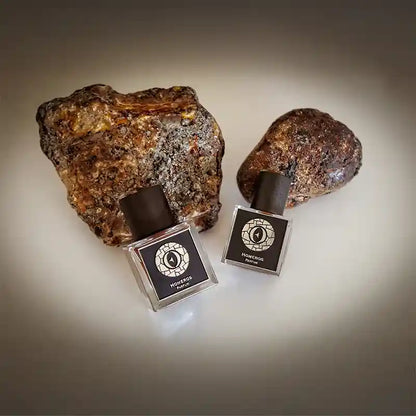 عطر إنصار عود هوميروس SQ - 15 مل