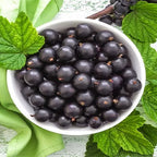 Black Currant