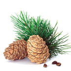 Cedarwood atlas