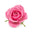 Crimean rose
