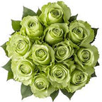 Green Rose Otto