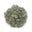 Green Sacra