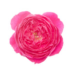 Rose Damascenia EO