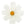 White Floral