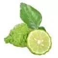 البارغموت