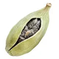 الحبهان