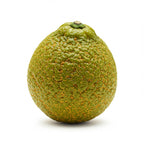 Citrus terpenes