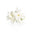 Egyptian Jasmine