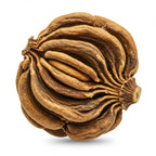 Fermented patchouli