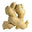 زهور الزنجبيل