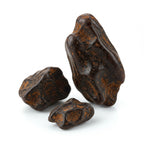 Himalayan deer musk