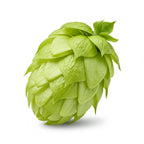 Hops