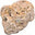 Jamaican Ambergris