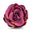 Japanese rose otto