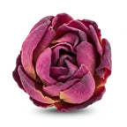 Japanese rose otto