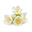 Jasmine grandiflora