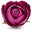 Kermanshah rose otto