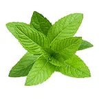 Madinah Mint