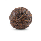 Oud bodhi prachin