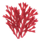 Red seaweed