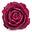 Taif rose otto