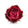 turkish rose absolute