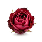 turkish rose absolute