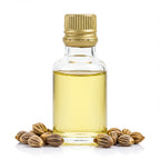 Vintage angelica seed oil