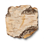 vintage birch tar