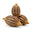صندل ميسور العتيق