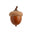 Acorn