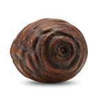 Bhutanese Oud
