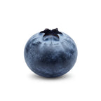 Blueberry