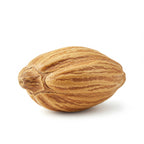 أخشاب الأرز