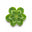 Clover