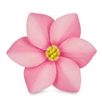 Costus