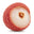 Litchi
