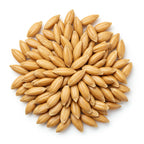 Malt
