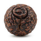 عود
