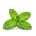 Peppermint