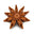 زهره الينسون