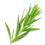 Tarragon