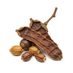 Vintage Deer Musk Pods (grains and skins)