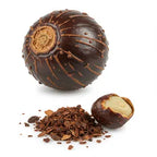 wild kashmiri musk