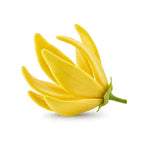 Ylang-Ylang