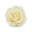 White rose floral wax